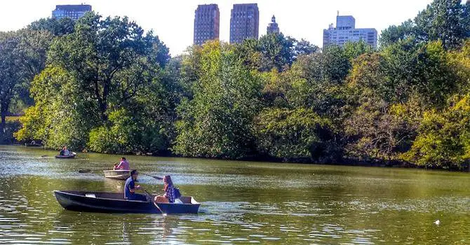 The Best Way to Spend a Summer Day in Central Park